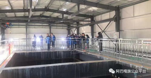 走進(jìn)污水處理廠 錫林郭勒盟阿巴嘎旗開展環(huán)保設(shè)施向公眾開放活動